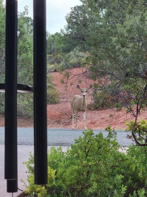 Photo of Outdoor in West Sedona