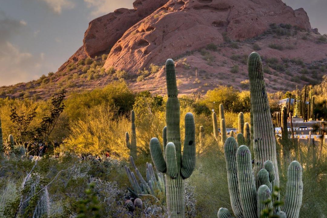 Photo of Outdoor in Papago Parkway