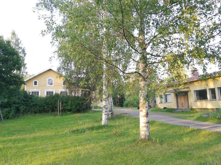 Photo of Others in Rantasalmi