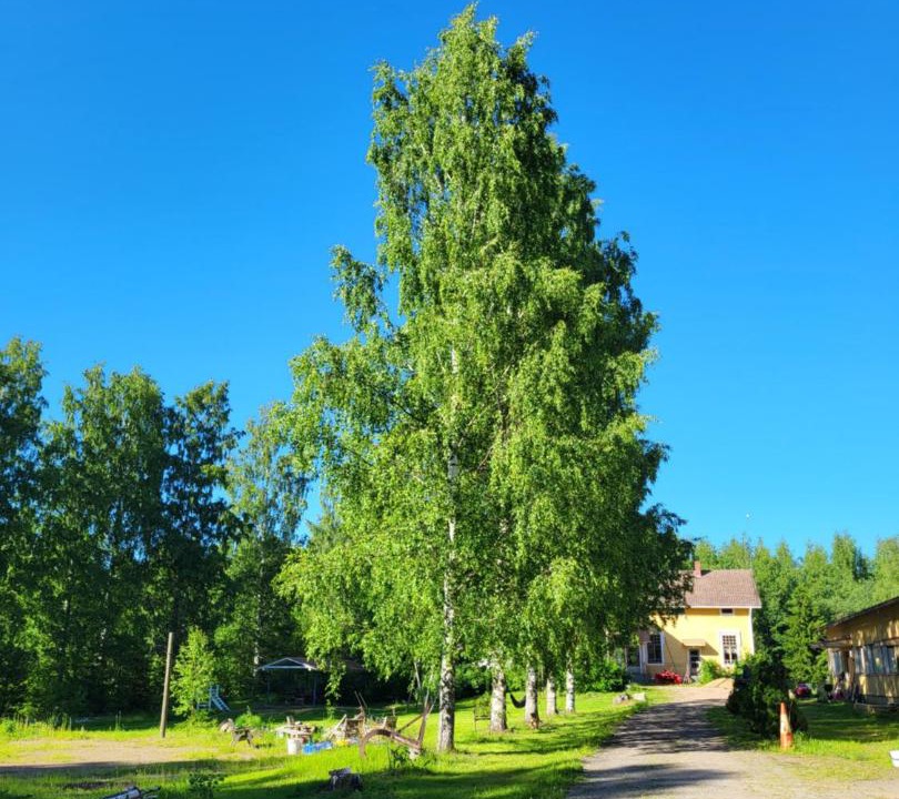 Photo of Others in Rantasalmi