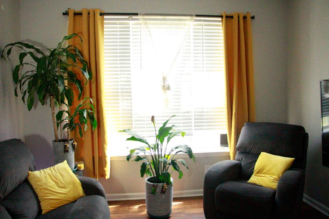 Photo of Livingroom in Northeast Raleigh