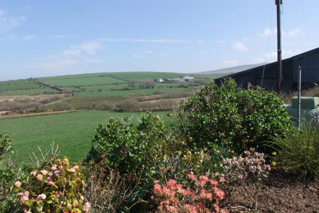 Photo of Others in Fishguard