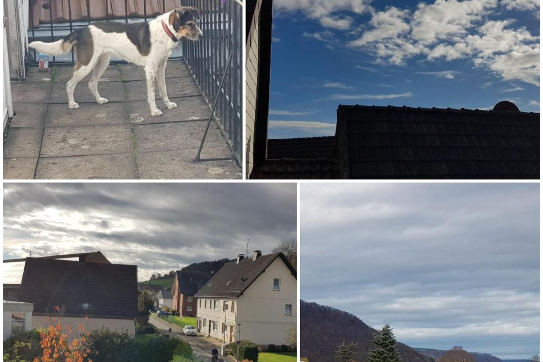 Photo of Others in Godelheim