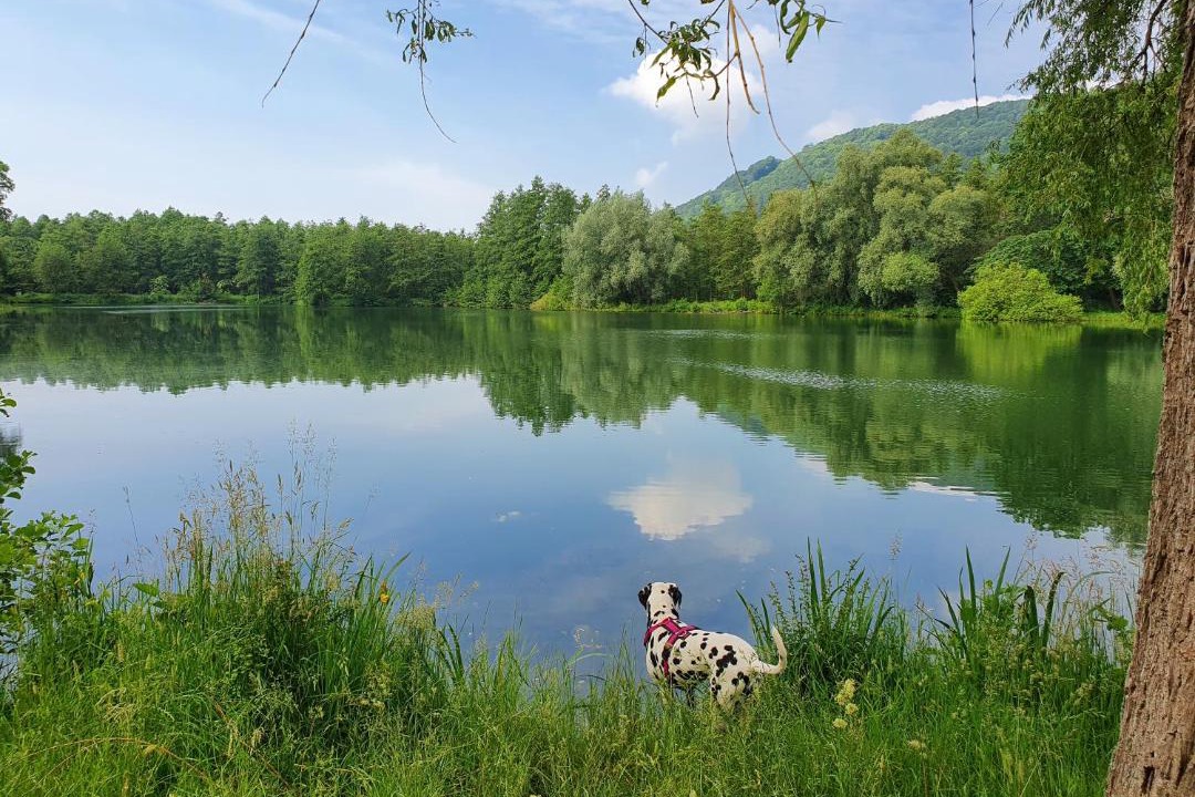 Photo of Others in Godelheim