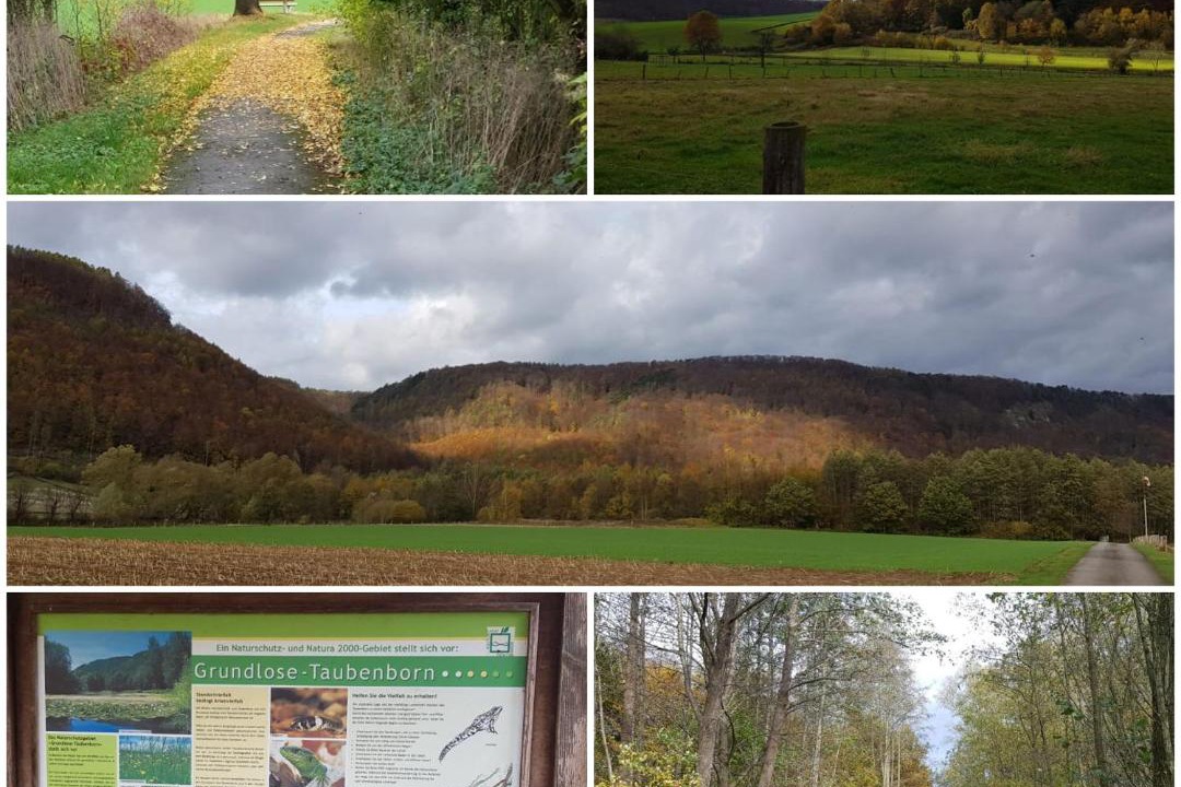 Photo of Others in Godelheim
