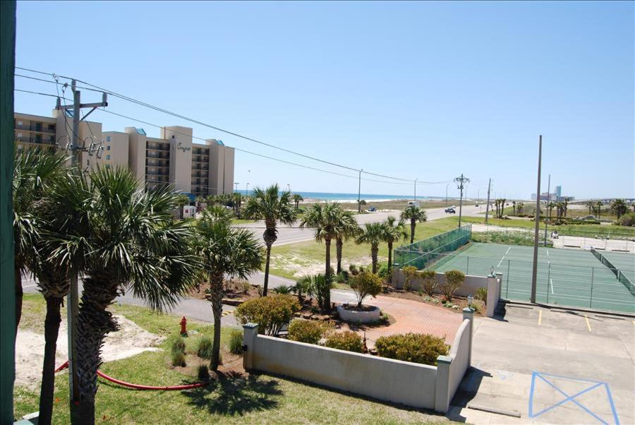 Photo of Others in Orange Beach East
