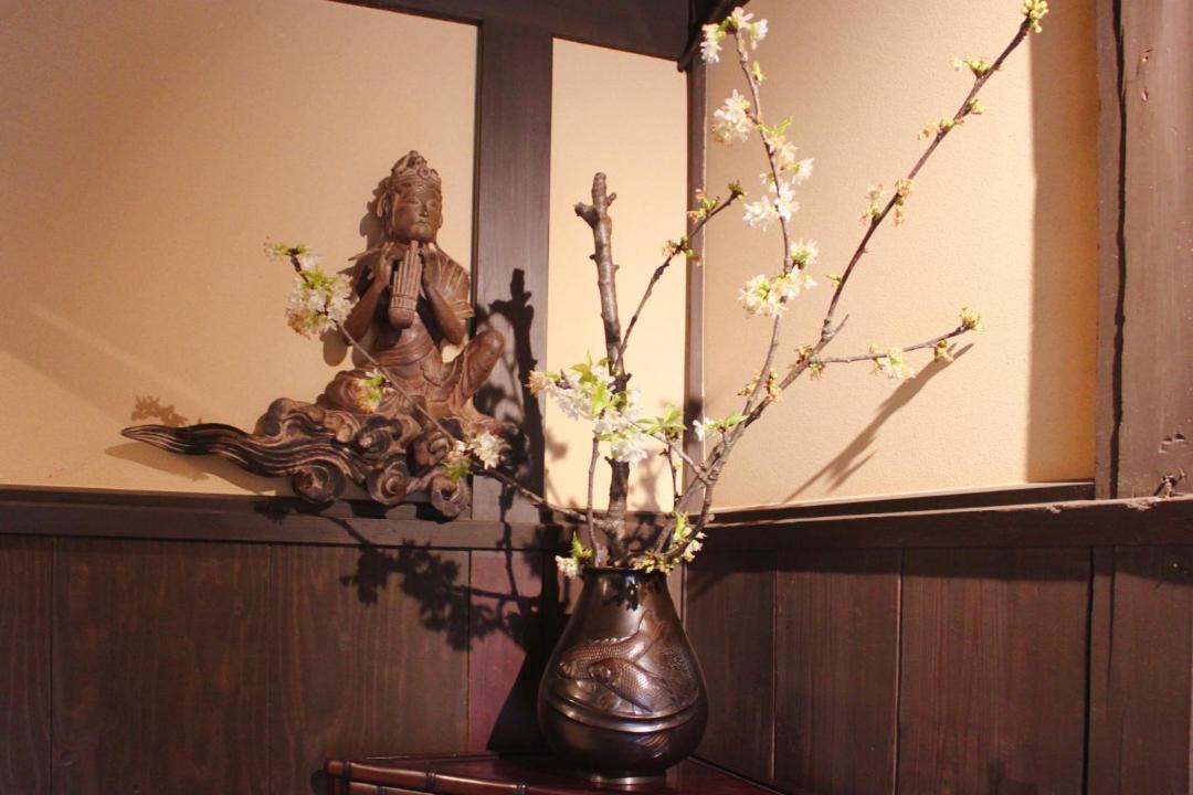 Photo of Others in Shijo