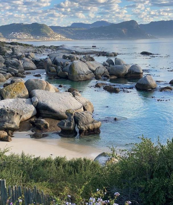 Photo of Others in Simon's Town