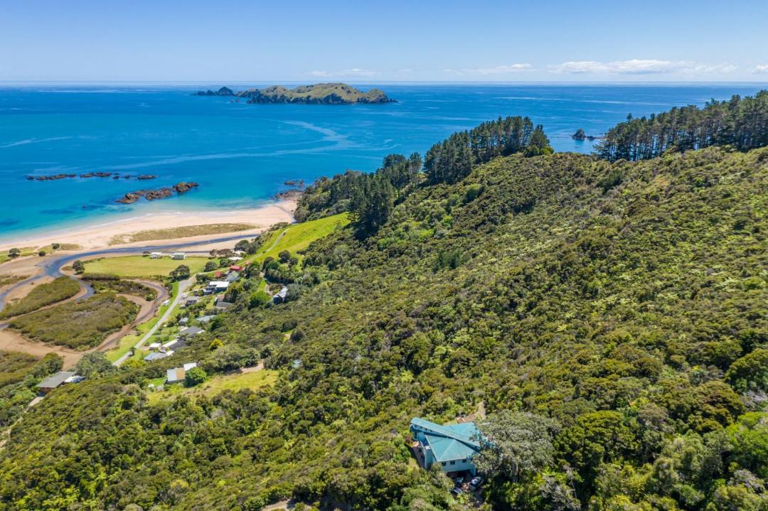 Photo of Outdoor in Kaeo