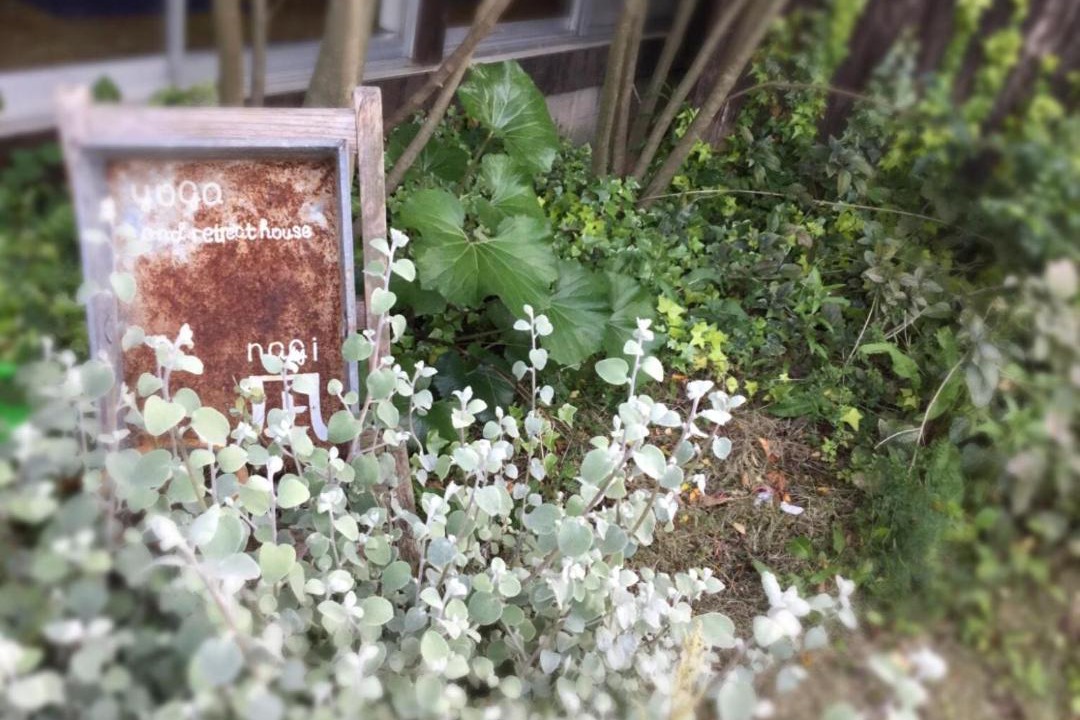 Photo of Others in Itoshima
