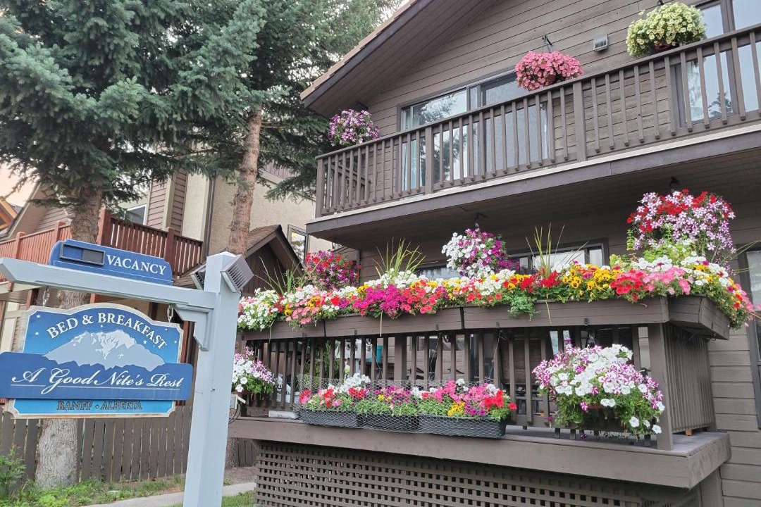 Photo of Others in Banff
