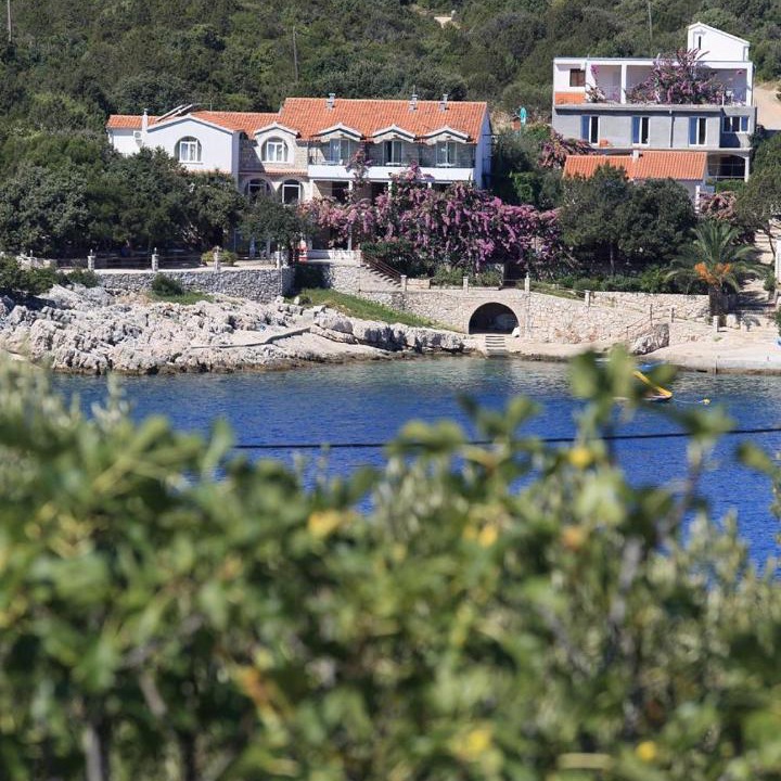 Photo of Others in Pokrivenik