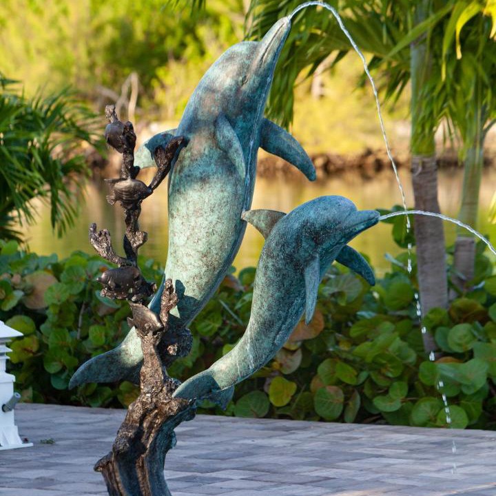 Photo of Others in Bahama Reef