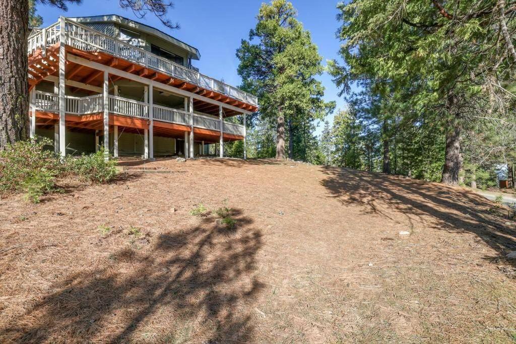 Photo of Others in Shaver Lake