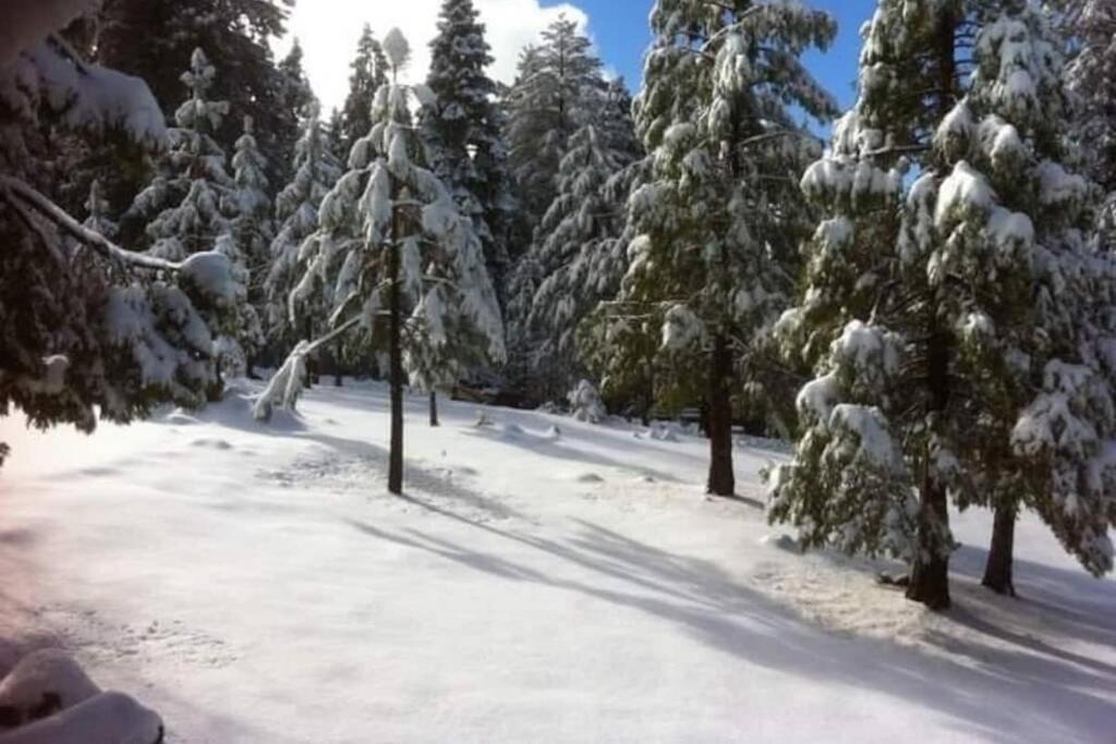 Photo of Others in Shaver Lake