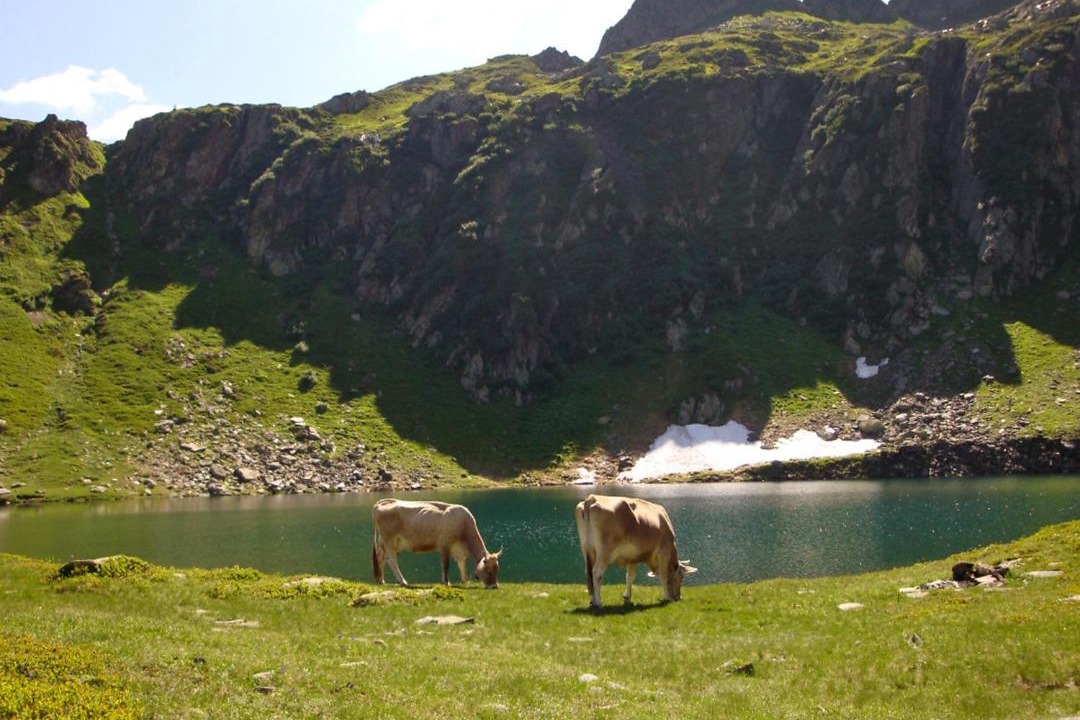 Photo of Outdoor in Vergeletto