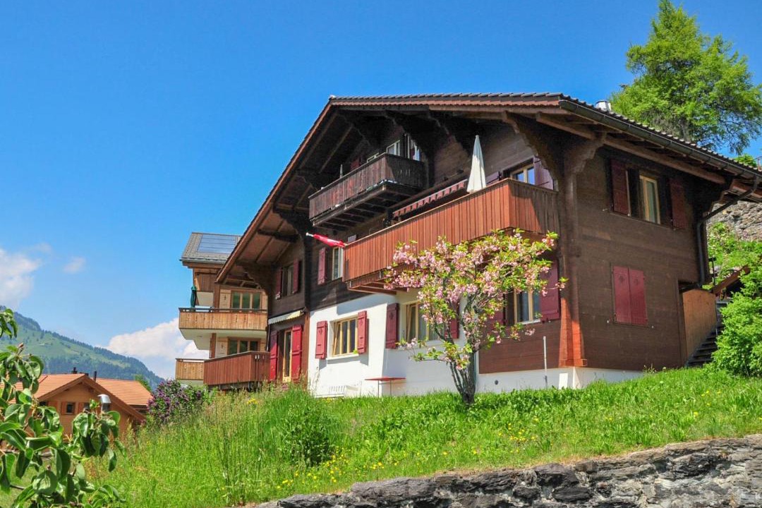 Photo of Others in Wengen