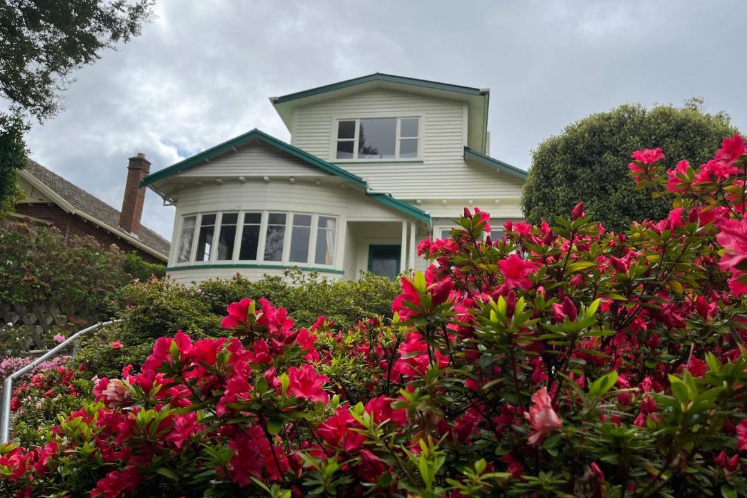 Photo of Buildings in Dunedin
