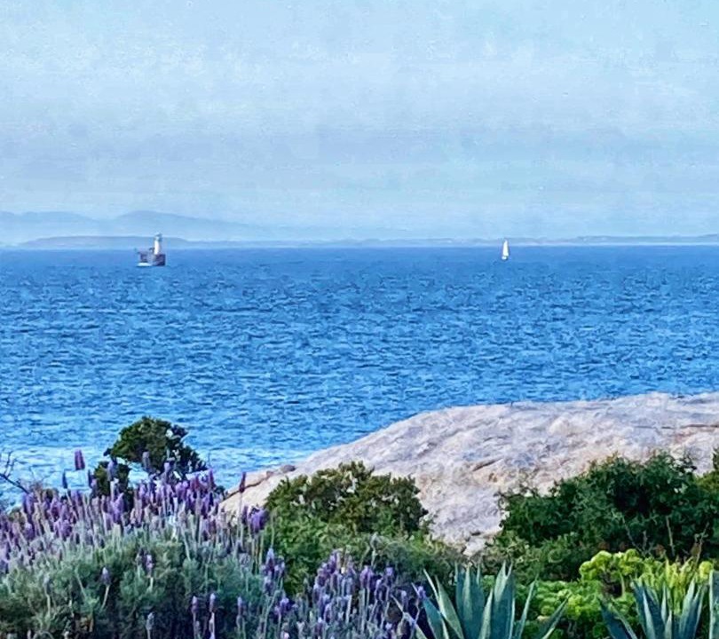 Photo of Others in Simon's Town