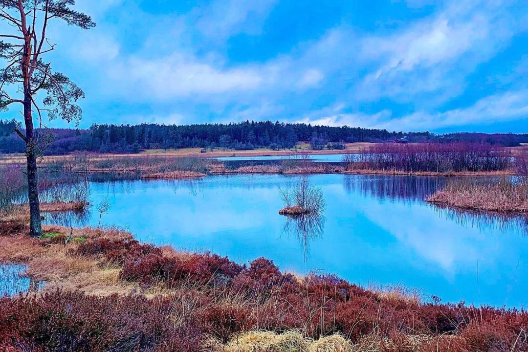 Photo of Others in Silkeborg Municipality