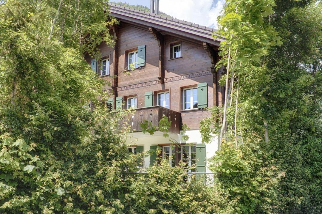 Photo of Others in Central Interlaken