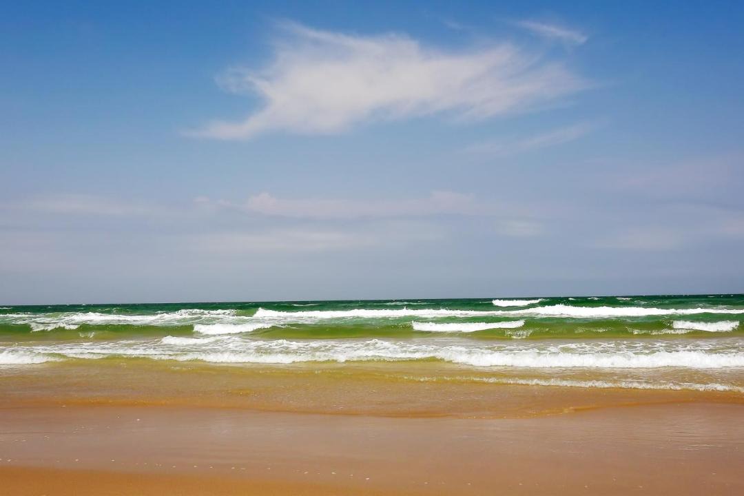 Photo of Others in South Padre Island
