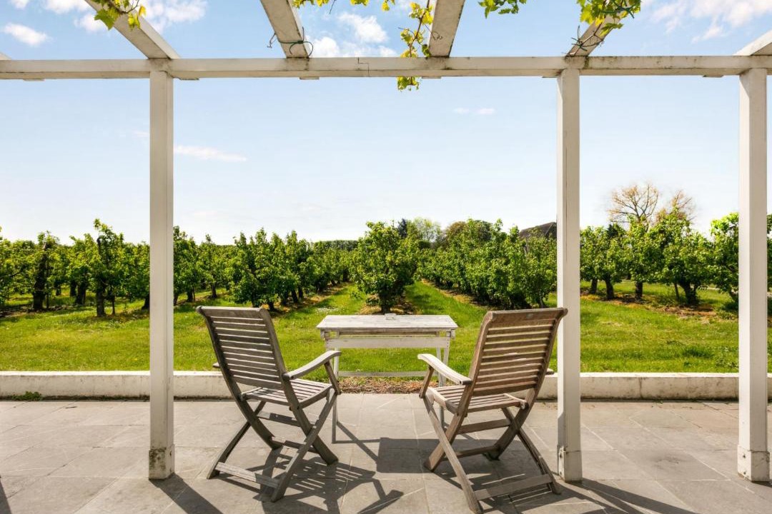 Photo of Patio Balcony in Zaamslag