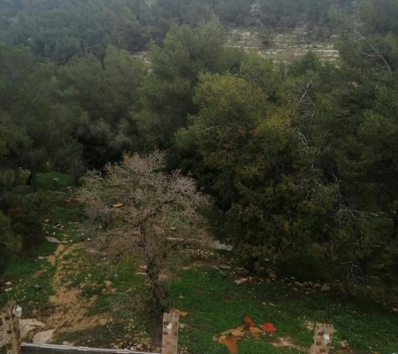 Photo of Others in Umm Qais