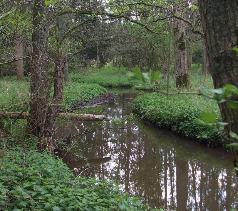 Photo of Others in Meeuwen