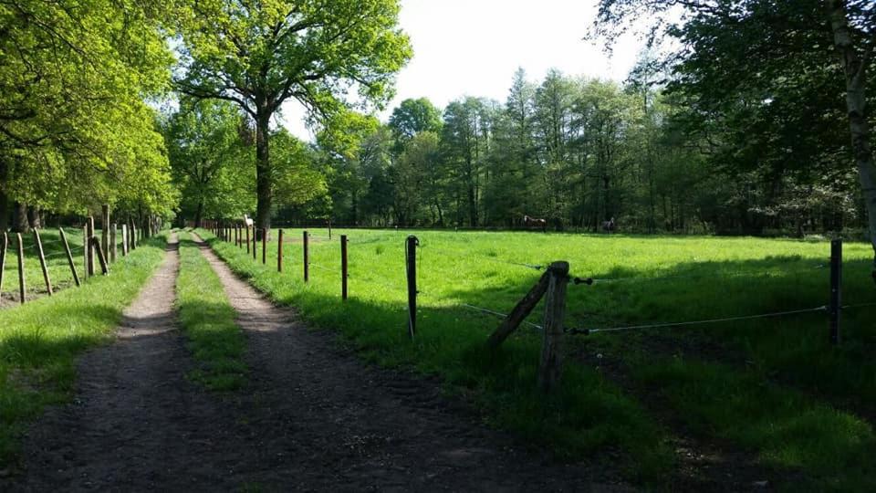 Photo of Others in Meeuwen