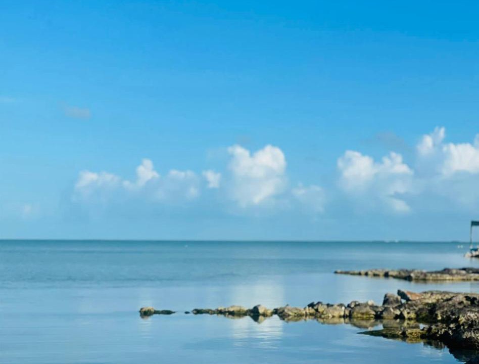 Photo of Outdoor in San Pedro