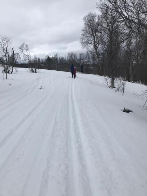 Photo of Others in Lenvik