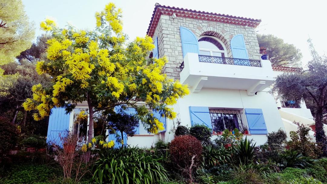 Photo of Buildings in Cap-d'Antibes