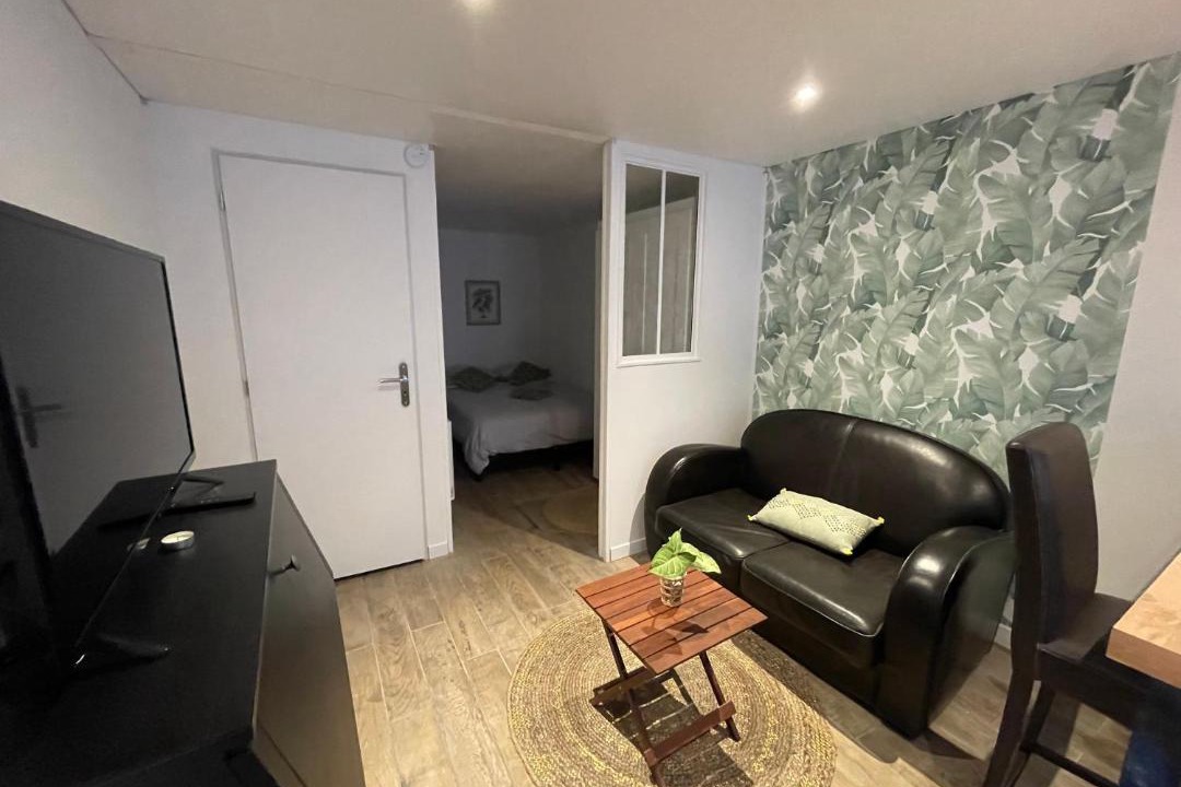 Photo of Livingroom in Centre Ville