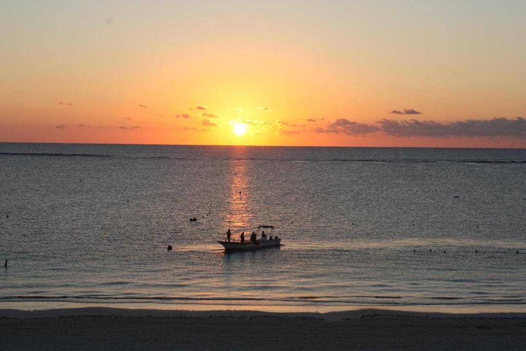 Photo of Others in Puerto Morelos