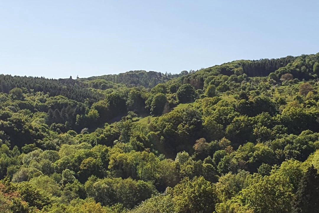 Photo of Others in Neuwied