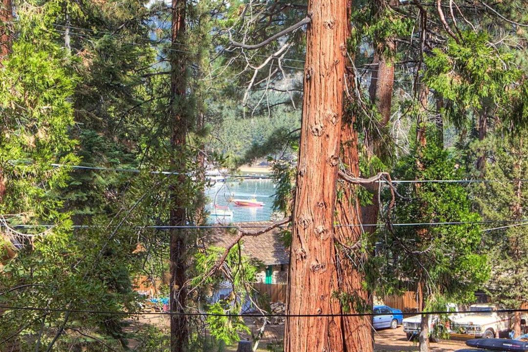 Photo of Others in Zephyr Cove
