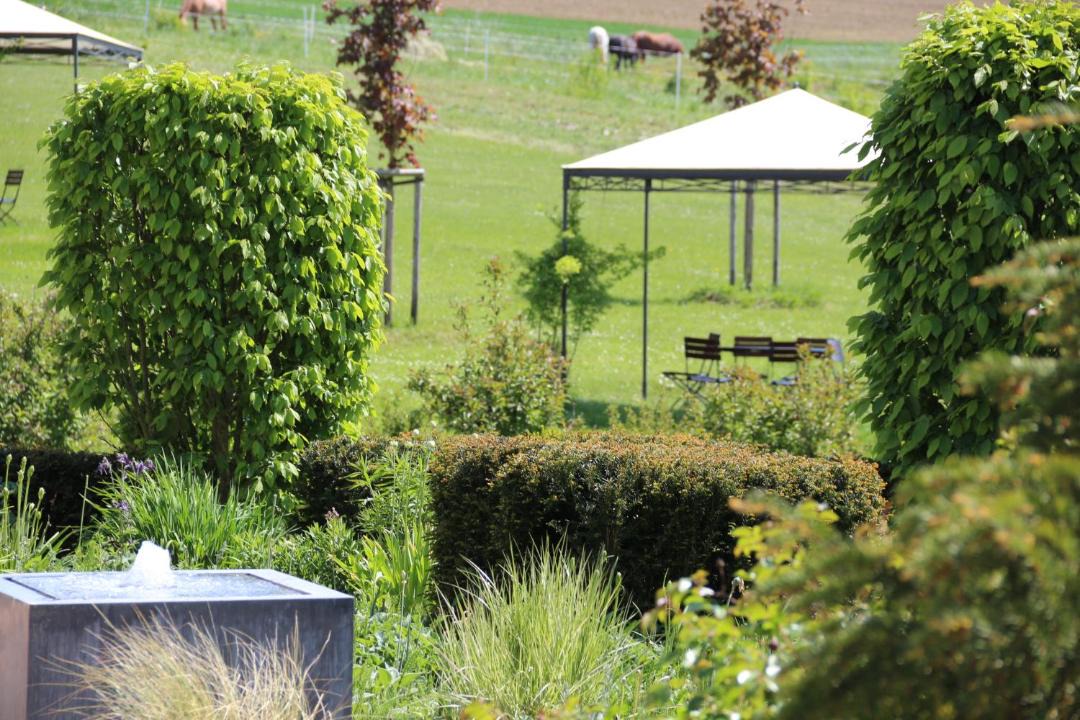 Photo of Others in Ruegheim