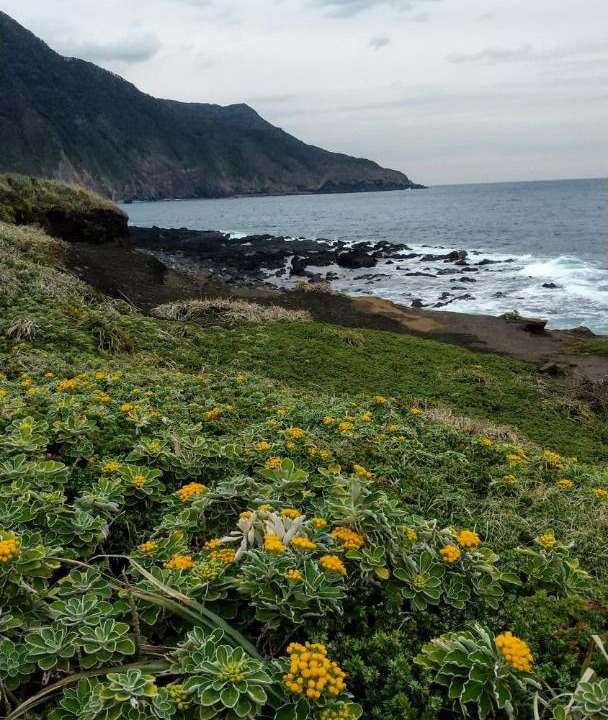 Photo of Outdoor in Oshima