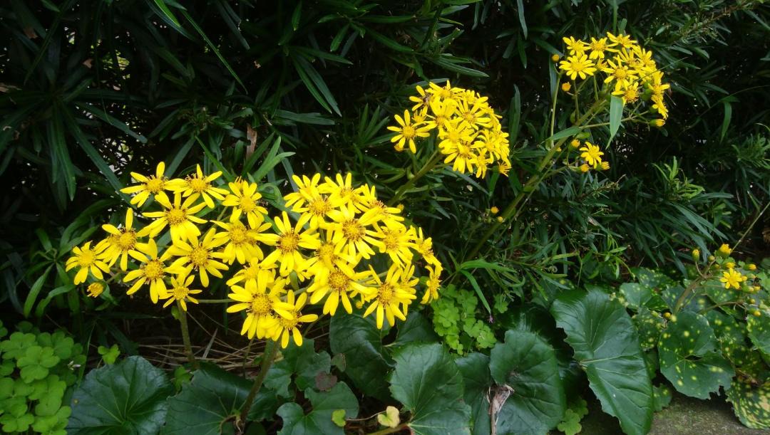 Photo of Outdoor in Oshima