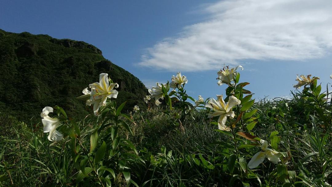 Photo of Outdoor in Oshima