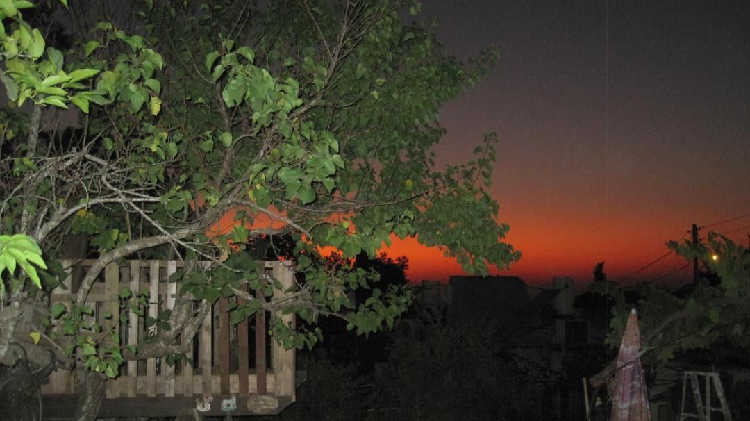 Photo of Others in Neve Ilan