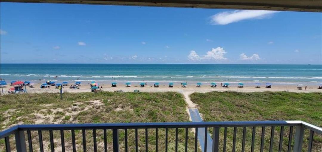 Photo of Others in South Padre Island