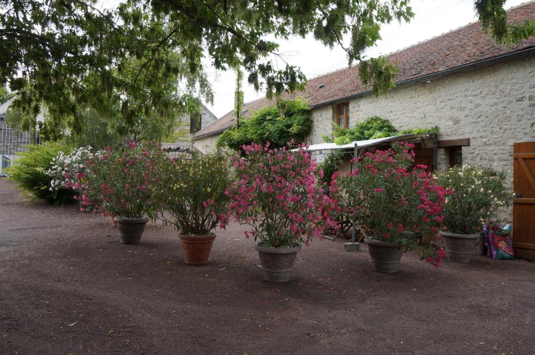 Photo of Others in Poligny