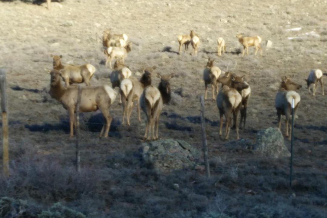 Photo of Outdoor in Gunnison