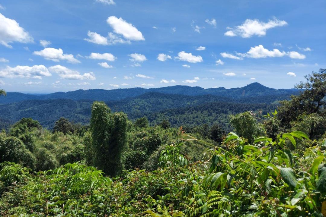Photo of Outdoor in Kiamuturi
