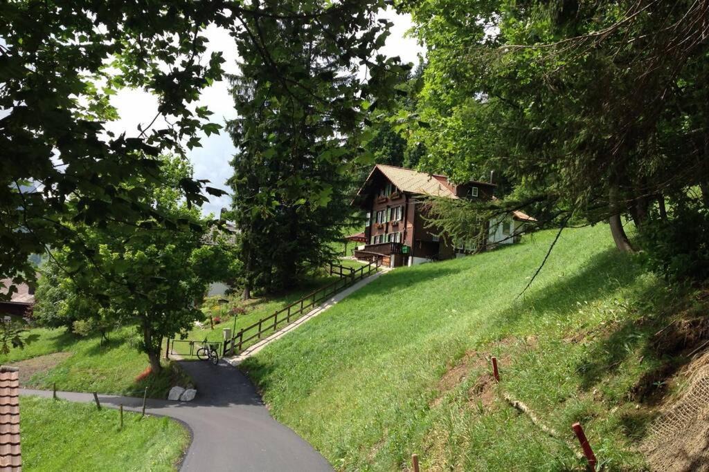 Photo of Others in Adelboden