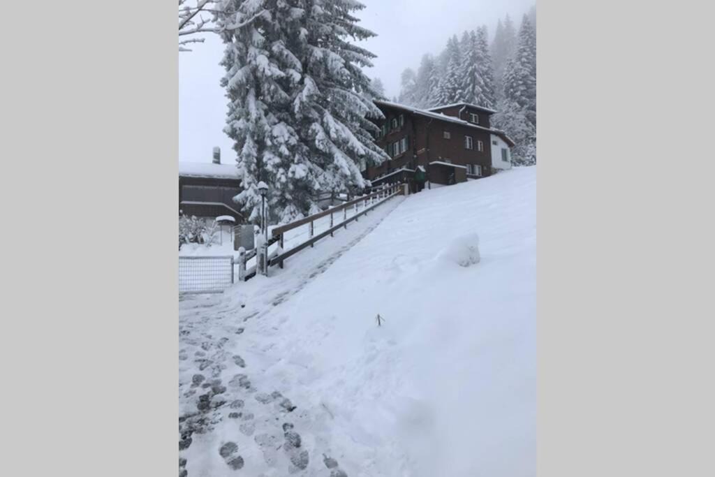 Photo of Others in Adelboden