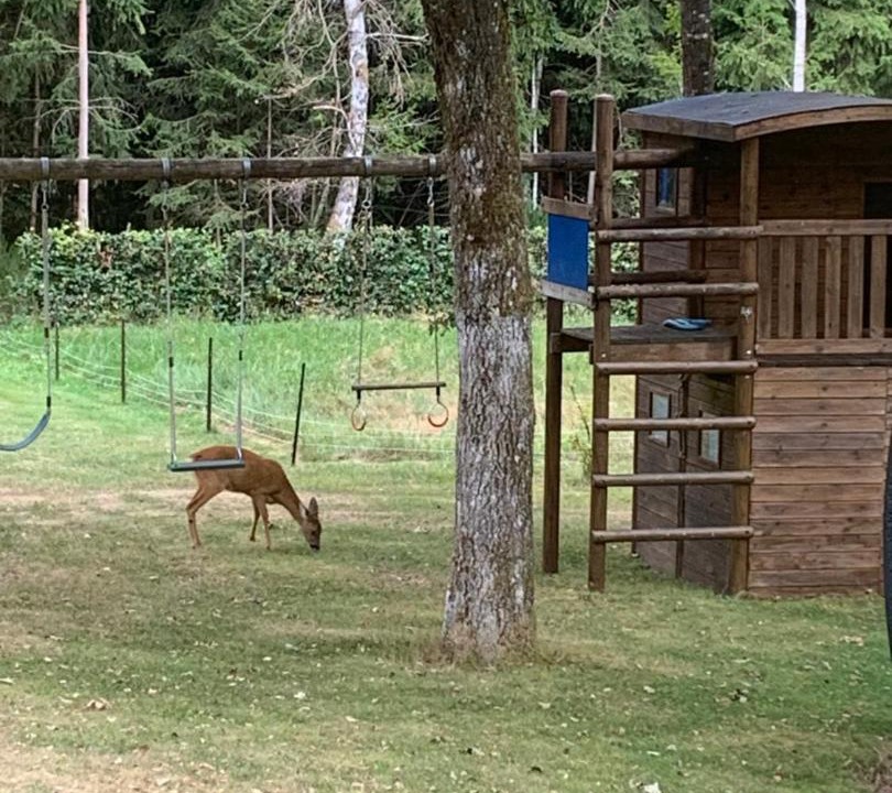 Photo of Others in Nisramont
