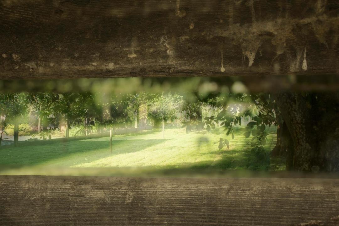 Photo of Others in Moorsel